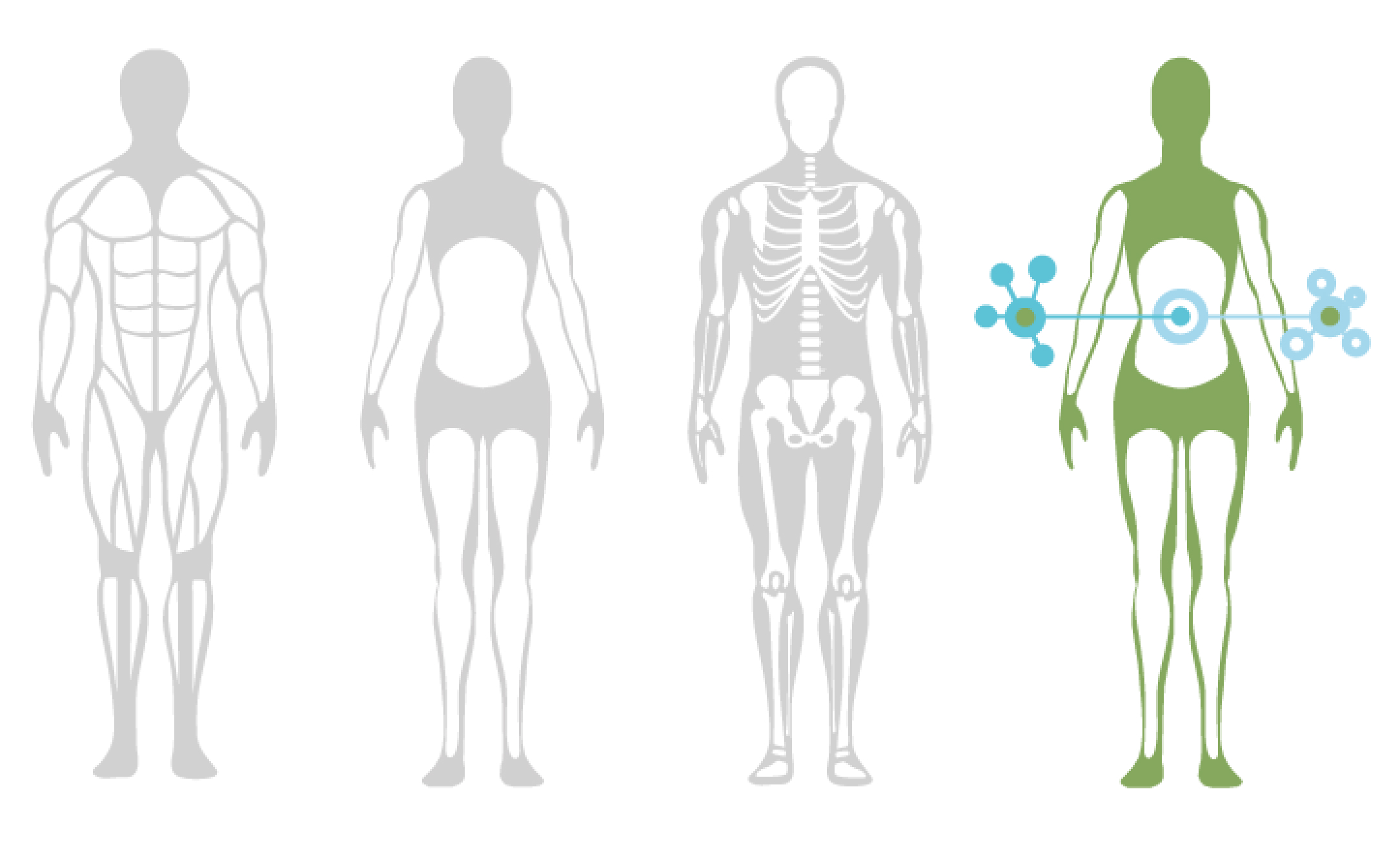 composition evolution